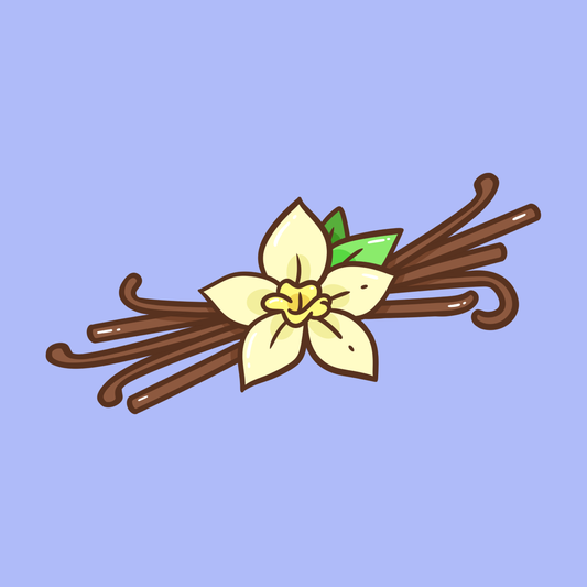 Vanilla Bean